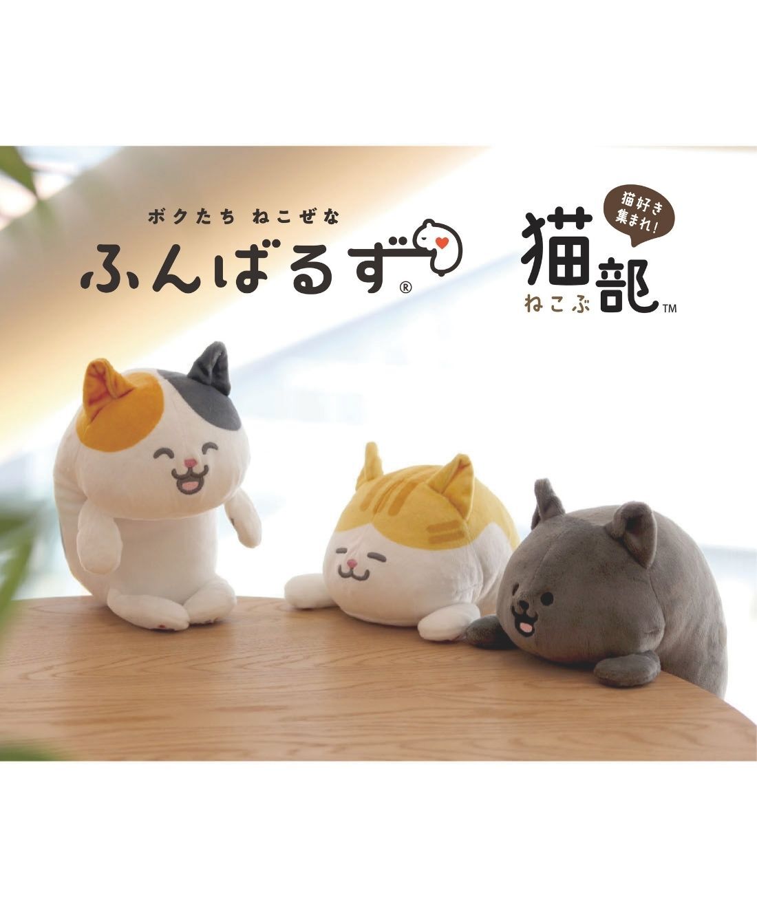 猫部 | 猫さんが姿勢をサポートふんばるず