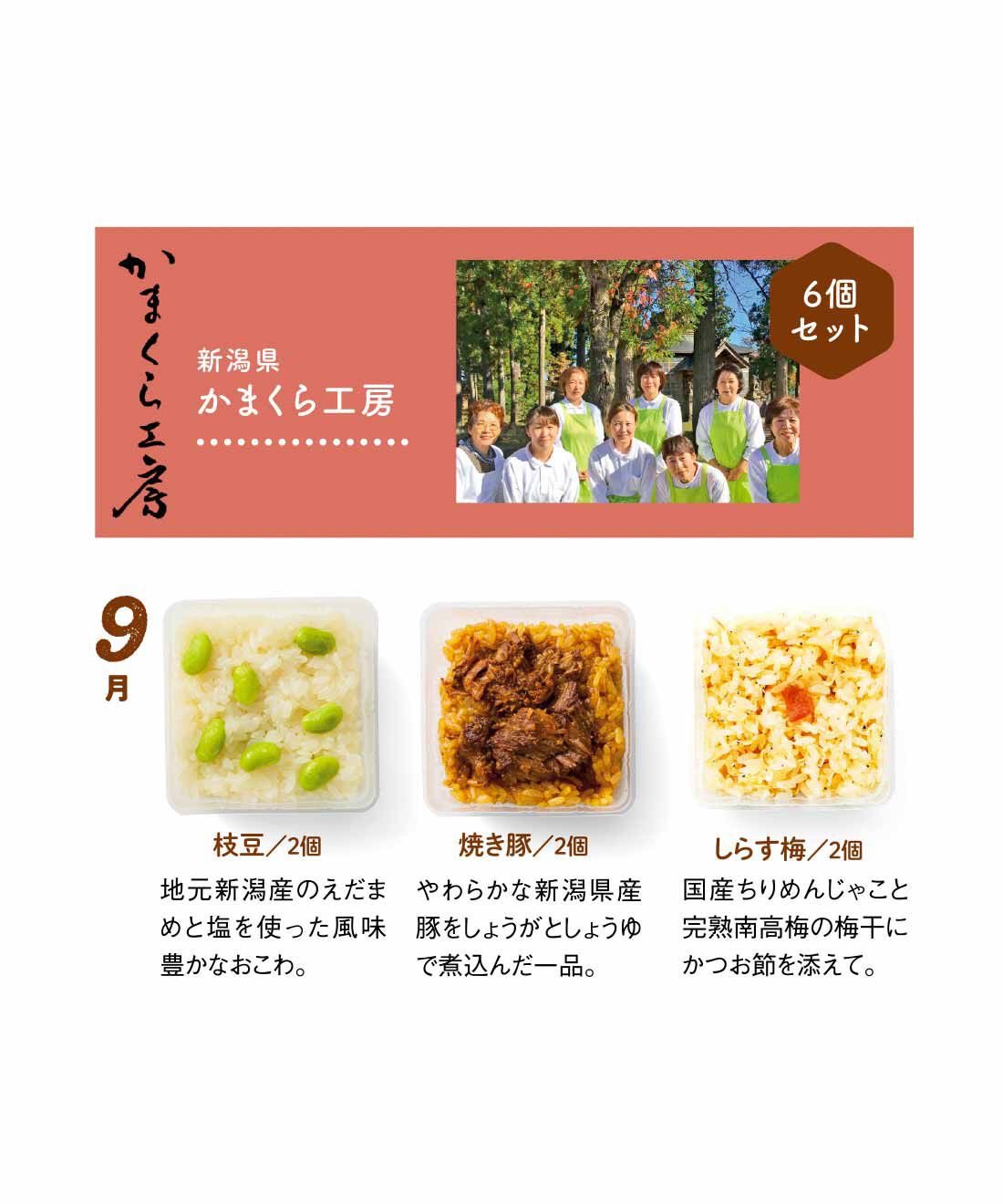 ごちSO! おとりよせマルシェ|【締切9月3日】簡単レンチン！ お手軽スクエアご飯を楽しむ9ヵ月コース|新潟県産のもち米や旬の国産食材を使って作った「越後もちめし」は、お母さんに作ってもらったようなほっこりする温かさで大人気。※1個あたり約120g　※賞味期限:製造日から冷凍で90日