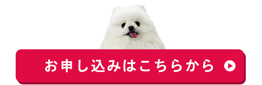 お申し込みはこちらから