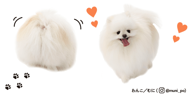 むにちゃん