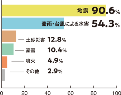 地震、豪雨・台風による水害、土砂災害、豪雪、噴火、その他