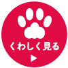 くわしく見る