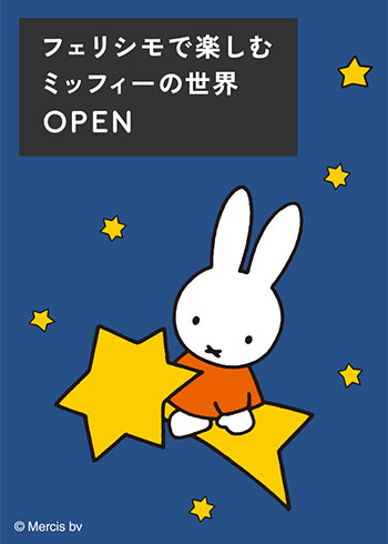 ミッフィーの世界