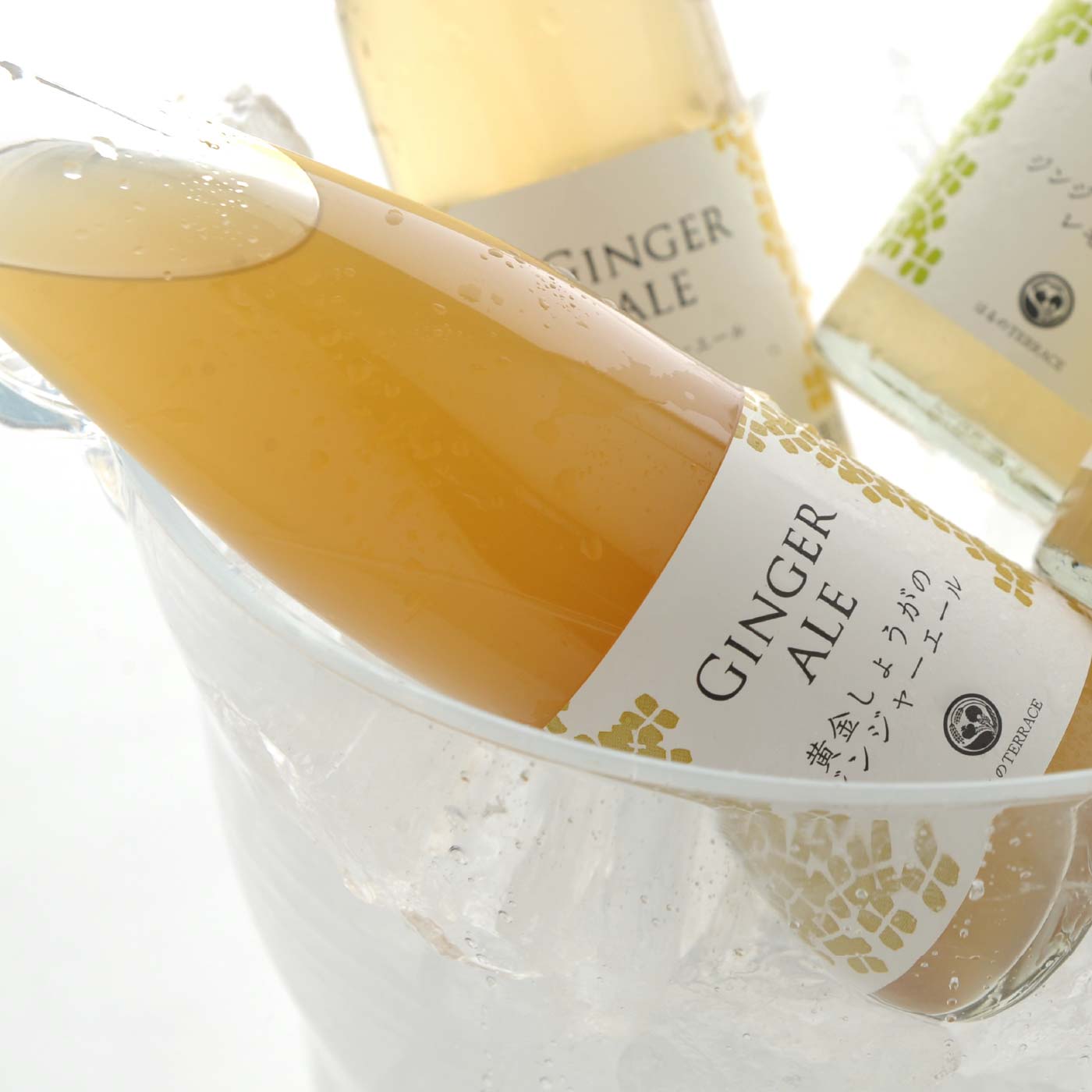ごちSO! おとりよせマルシェ|【送料おまとめ対象】 高知生姜のジンジャーエール 3種セット